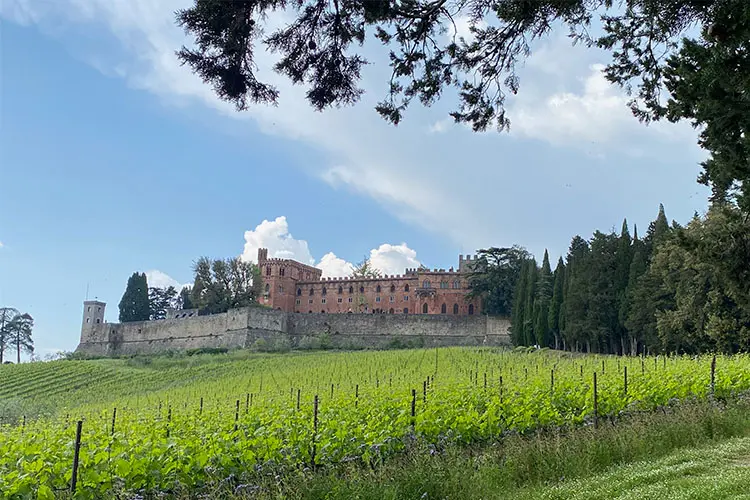 vinhado na Toscana com construção histórica ao fundo