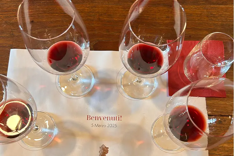 taças de vinho tinto de prova