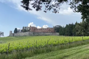 vinhedos e um castelo ao fundo