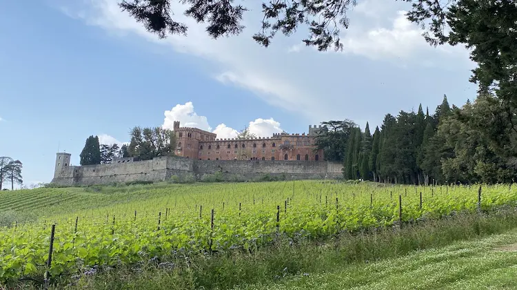 vinhedos e um castelo ao fundo