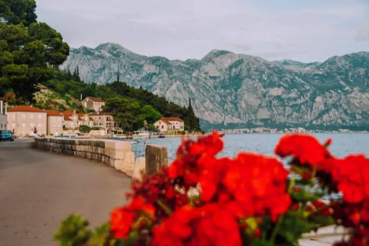 Na Baía de Kotor, as montanhas imponentes se erguem por todos os lados, criando um visual único como é possível observar em Perast
