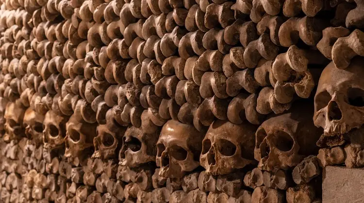 Parede de ossos nas catacumbas de Paris.