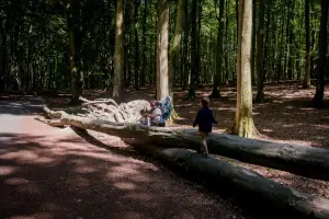 Mulher ajuda crianças pequenas a subir em tronco de árvore em uma floresta.