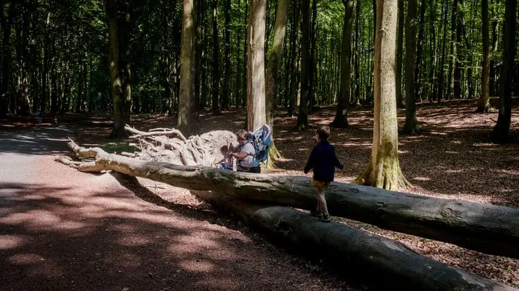 Mulher ajuda crianças pequenas a subir em tronco de árvore em uma floresta.