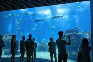 Pessoas no Oceanário de Lisboa, olhando tanque gigante.