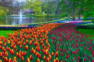 ingressos keukenhof