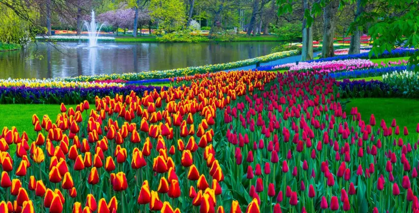 ingressos keukenhof