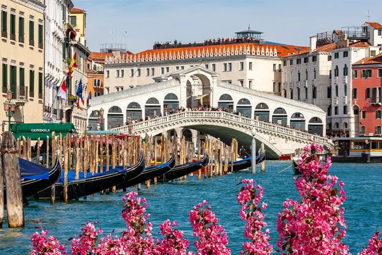 Flores coloridas em frente a Ponte di Rialto em dia de sol em Veneza.