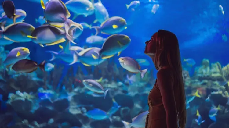 Interior do aquário L'Oceanografic, em Valência