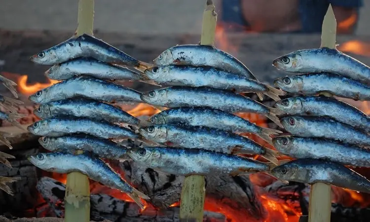 marbella espanha peixes