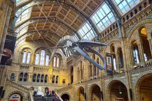 Esqueleto de Dinossauro em um dos museus de dinossauros da Europa