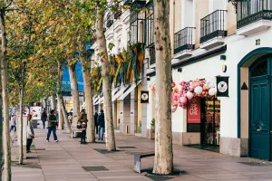 Rua de Madrid, Espanha, em dia de sol.