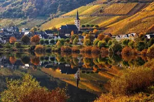 Paisagens de outono na Europa parecem cenário de filme com as folhas das árvores secas.