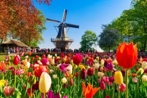 Visitar a Holanda durante a primavera na Europa é incrível.