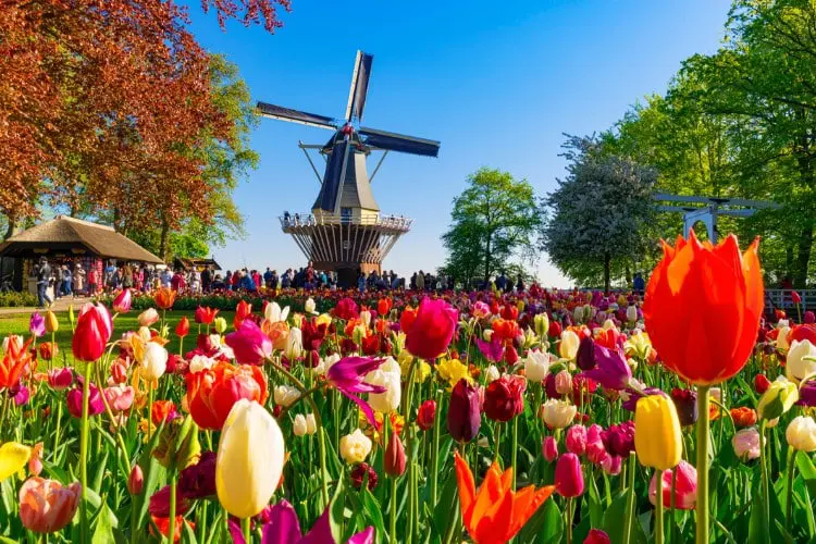 Primavera na Europa: descubra as belezas da estação das flores