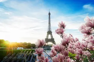 Planeje os custos para viajar para Paris