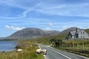 Estrada rural com ovelhas, lago e montanhas ao fundo no roteiro Irlanda