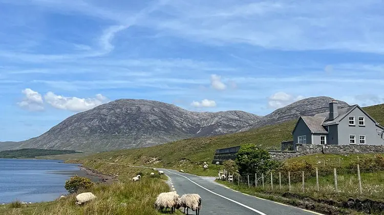 Estrada rural com ovelhas, lago e montanhas ao fundo no roteiro Irlanda