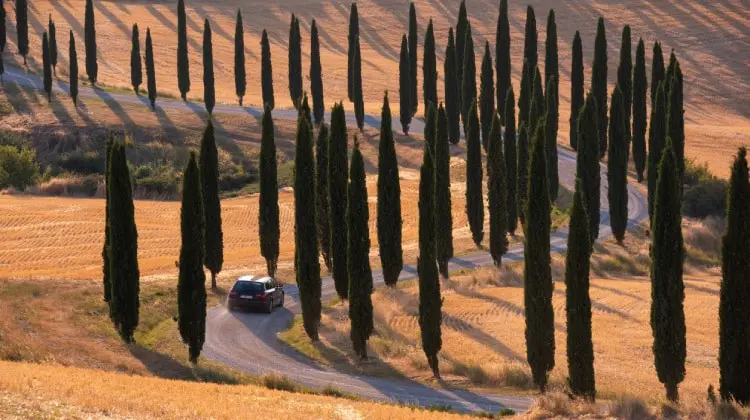Alugar um carro para fazer o roteiro Toscana é uma boa ideia.