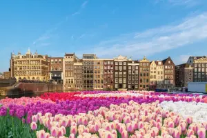 Casas da cidade de Amsterdam em dia de sol na primavera