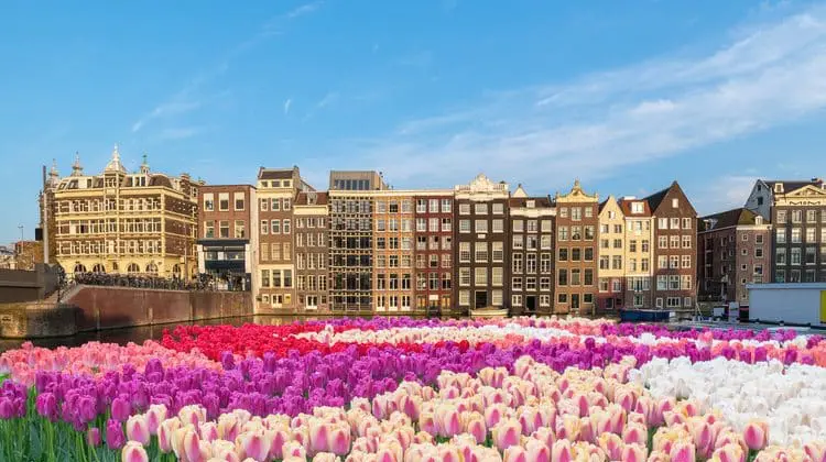 Casas da cidade de Amsterdam em dia de sol na primavera