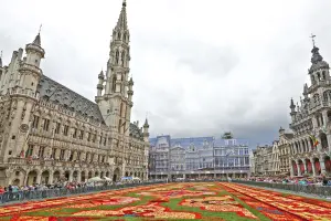 tapete de flores em bruxelas
