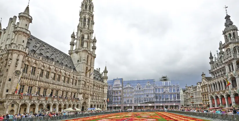 tapete de flores em bruxelas