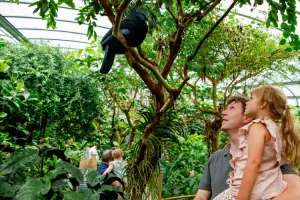 Visitar os zoológicos em Portugal é um ótimo programa para família.