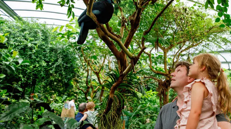 Visitar os zoológicos em Portugal é um ótimo programa para família.