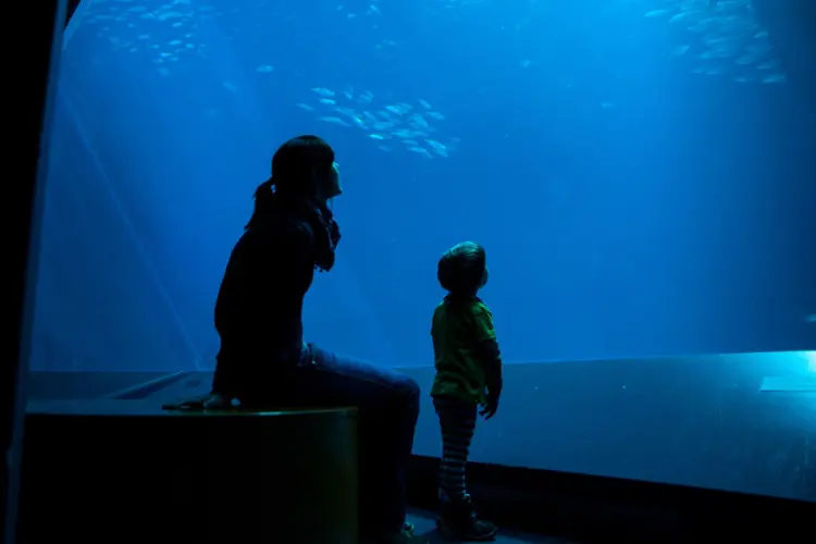 Mãe e filha admirando o aquário em Lisboa. 