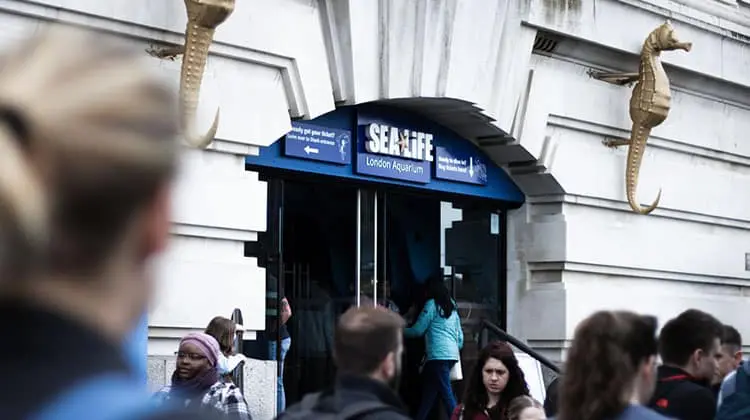 Fila na entrada do Sea Life London Aquarium para visitar a atração