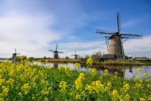 Moinhos perto dos canais da Holanda