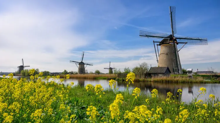 Moinhos perto dos canais da Holanda