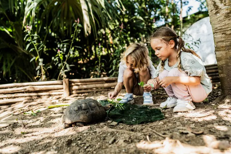 Conhecer espécies de animais na Europa é super interessante para um roteiro diferente