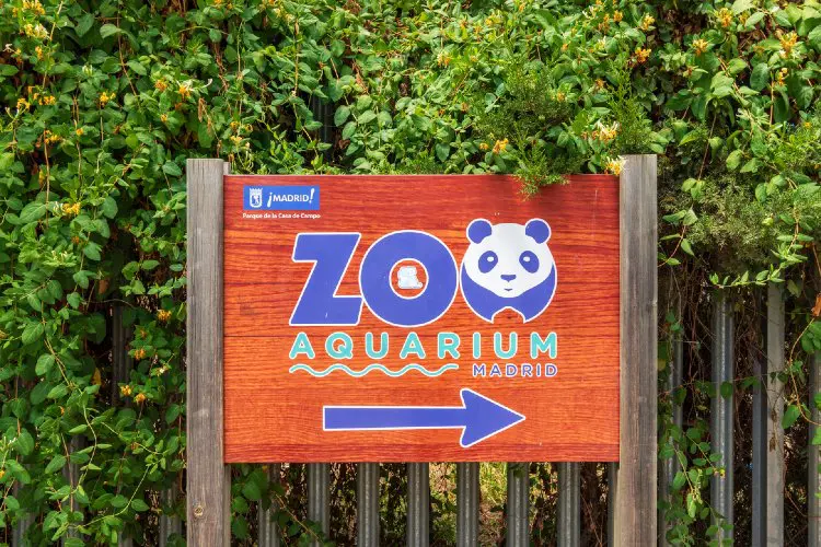 Zoo Aquarium de Madrid é um dos melhores da Espanha