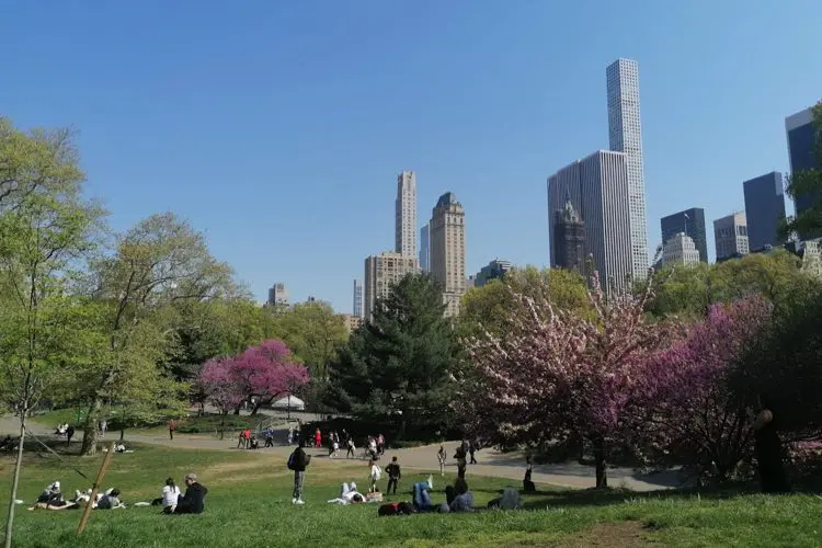 Central Park em um dia de sol