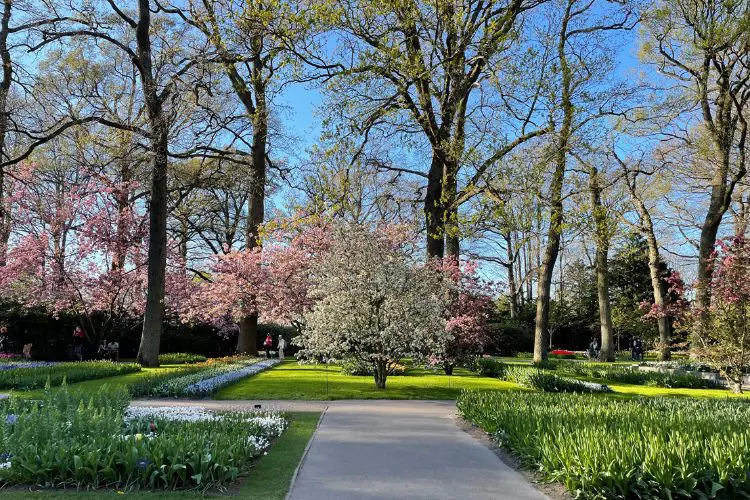 Parque da Holanda na primavera