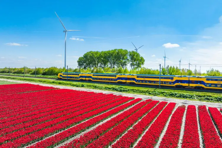 Viagem de trem na Holanda durante a primavera.