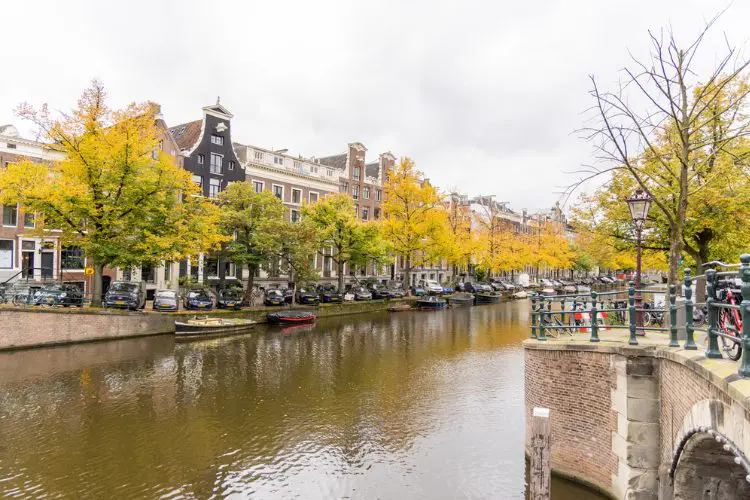 Canal da Holanda com árvores e folhas de outono