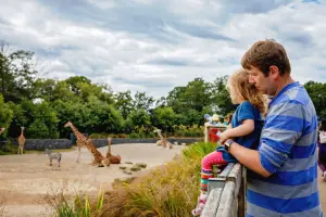 Existem vários os zoológicos na Europa. Descubra os melhores para visitar!