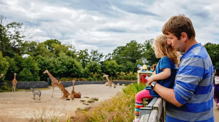 Existem vários os zoológicos na Europa. Descubra os melhores para visitar!