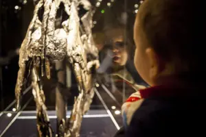 Rosto de bebê refletido em vidro de exposição contendo crânio de dinossauro