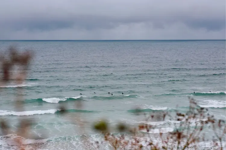 Surfistas na praia Fistral Beach