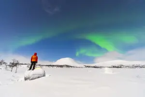 Ver a Aurora Boreal é um dos motivos para saber quanto custa viajar para a Finlândia.