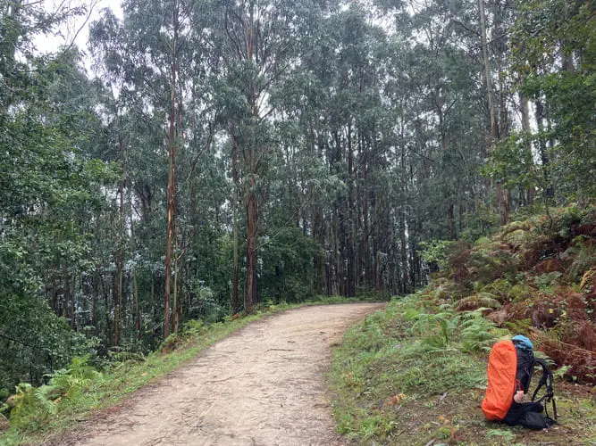 Uma mochila de trilha com capa laranja do lado direito da imagem. No meio um caminho de terra passa por entre árvores de uma floresta.