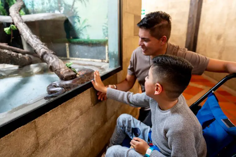 Criança vendo exposição de cobras no Zoológico de Londres.