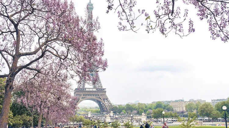 Vista da Torre Eiffel na primavera.