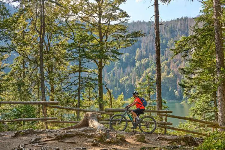Ciclista percorrendo trilha na Floresta Negra
